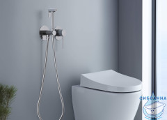 Встраиваемый смеситель с гигиеническим душем Aquatek Европа AQ1319CR (хром )