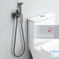 Встраиваемый смеситель с гигиеническим душем Raglo R10.52.09 (графит)