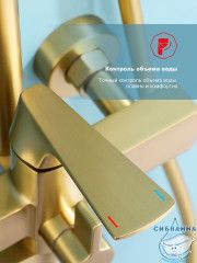 Душевая система Raglo 320 1 режим R07.24.03 (сатин золотой)