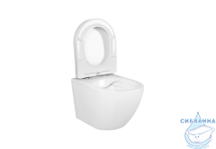 Унитаз подвесной безободковый Aquatek Европа AQ1900-00 (с сиденьем Soft Close (микролифт)