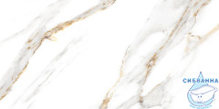 GT97VG Плитка облиц. Capella GT Бел. 50*25 _ 1 \74,25