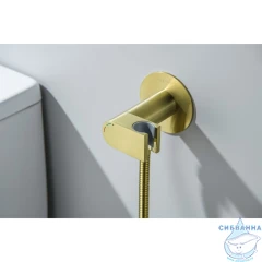 Смеситель с гигиеническим душем Aquatek Оберон AQ1024BG (золото шлифованное)