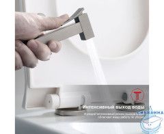 Смеситель Raglo R01.51.09 с гигиеническим душем (графит)