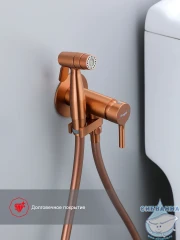Встраиваемый смеситель с гигиеническим душем Raglo R20.54.33 (медь)