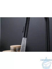 Смеситель кухни Frap F60807-6 (черный матовый)