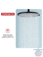 Верхний душ Raglo 250 R451.50.06 (черный матовый)