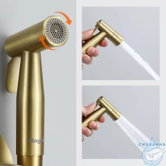 Встраиваемый смеситель с гигиеническим душем Raglo R10.52.03 (сатин золотой)