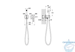Встраиваемый смеситель с гигиеническим душем Aquatek Европа AQ1319BG (золото шлифованное)