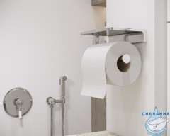 Встраиваемый смеситель с гигиеническим душем Timo Arisa 5309/00SM (хром)