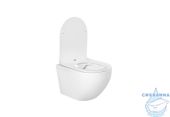 Унитаз подвесной безободковый Aquatek Европа AQ1901-00 (с сиденьем Soft Close (микролифт)