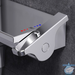 Душевая система Am.Pm Spirit V2.0 250 1 режим F0770A500 (хром)