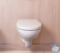 Сиденье для унитаза Jacob Delafon Patio E4267-00