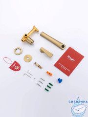 Смеситель для раковины встраиваемый Raglo R07.11.03 (сатин золотой)