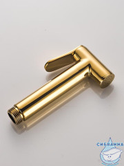 Встраиваемый смеситель с гигиеническим душем ALMAes Benito AL-859-08 (золото)