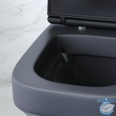 Унитаз подвесной безободковый AM.PM Inspire C50A1700MBSC с сиденьем Soft Close (микролифт)