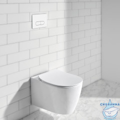 Кнопка смыва Ideal Standard OLEAS™ M1 R0115AC (белый глянцевый)