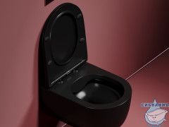 Унитаз подвесной безободковый Ceramicanova Modena  Rimless CN6063MB с сиденьем быстросъемным Soft Close (микролифт)