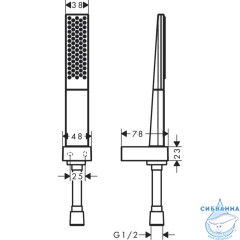 Ручной душ Hansgrohe Rainfinity 160 см 1 режим 26856700 (черный/белый)