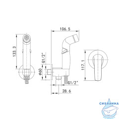 Встраиваемый смеситель с гигиеническим душем Iddis Ray RAYSBR2i08 (хром)