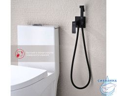 Встраиваемый смеситель Raglo R01.52.06 с гигиеническим душем (черный)