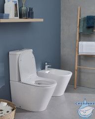 Унитаз напольный безободковый Jacob Delafon Rodin+ UJAB102-00 с бачком и сиденьем Soft Close (микролифт)