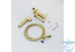 Встраиваемый смеситель с гигиеническим душем Aquatek Ника AQ1819BG (золото шлифованное)