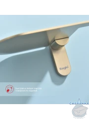 Держатель туалетной бумаги Raglo R300.03.03 (сатин золотой)