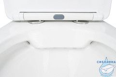 Унитаз напольный безободковый Azario Fretta Square с бачком и сиденьем Soft Close (микролифт) AZ-5121