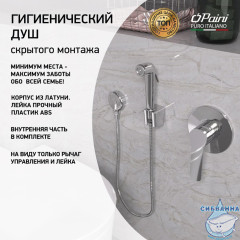 Смеситель Paini Arona ARCR690/574 с гигиеническим душем (хром)