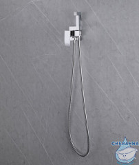 Встраиваемый смеситель с гигиеническим душем ABBER Wasserfall AF8625 (хром )