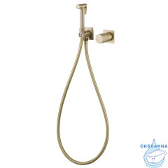 Встраиваемый смеситель с гигиеническим душем ABBER Emotion AF8725G (золото матовое)