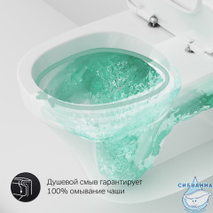 Унитаз напольный AM.PM Inspire C508607WH (с бачком без сиденья) (белый глянцевый)