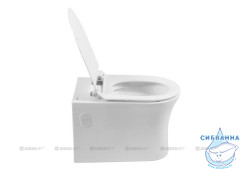 Унитаз подвесной Aquanet Rimless Roll 210766 (с сиденьем Soft Close (микролифт)