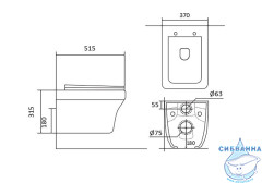 Унитаз подвесной безободковый Aquatek Амадео AQ1163-00 с сиденьем Soft Close (микролифт)