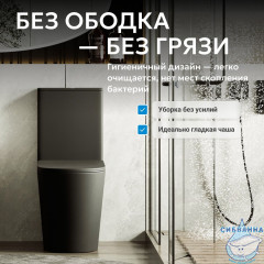 Унитаз напольный Abber Bequem AC1112TMB  с бачком и сиденьем Soft Close (микролифт)