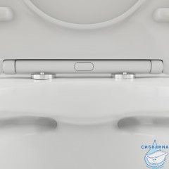 Унитаз напольный безободковый  Damixa Skyline с бачком и сиденьем Soft Close (микролифт) DX35C8600SC