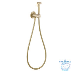 Встраиваемый смеситель с гигиеническим душем ABBER Wasser Kreis AF8125G (золото матовое)