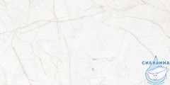 GT226VG Керамогранит Antares_GT Бел. 30x60  1\58,32