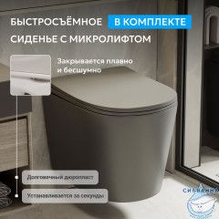 Унитаз ABBER Bequem AC1102TMG подвесной серый матовый, безободковый, смыв торнадо