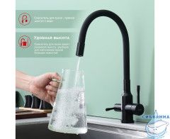 Смеситель для кухни Raglo R81.64.06 (черный)