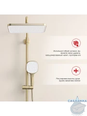 Душевая система Raglo 320 1 режим R22.26.03 (сатин золотой)