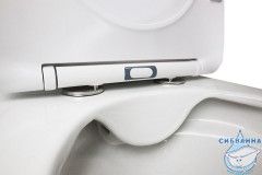 Унитаз напольный безободковый Azario Flin с бачком и сиденьем Soft Close (микролифт) AZ-1363C