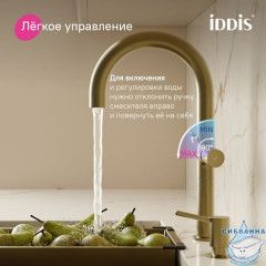 Смеситель для кухни с подключением фильтра Iddis Спин SPNMGCFi05 (золото матовое)