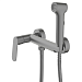 Смеситель с гигиеническим душем Azario Alanti AZ-K2532GR (графит)