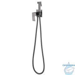 Встраиваемый смеситель с гигиеническим душем ABBER Wasserfall AF8625NG (никель )