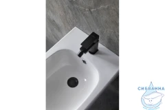 Смеситель для биде Allen Brau Infinity 265442 (черный матовый)