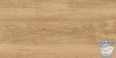 GT220VG Керамогранит Florida_GT Беж. 30x60  1\58,32