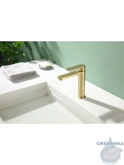 Смеситель для раковины Raglo R10.10.03 (сатин золотой)