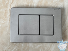 Инсталляция для унитаза Charus CC.300.80.01 с кнопкой смыва Charus Robusto FP.310.BSS.05 сталь матовая,  с унитазом LYon 2.0 (с сиденьем Soft Close (микролифт)