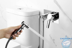 Встраиваемый смеситель с гигиеническим душем Lemark Atlantiss LM3259C (хром)